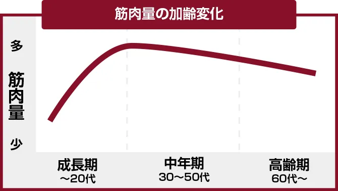 筋肉量の加齢変化グラフ